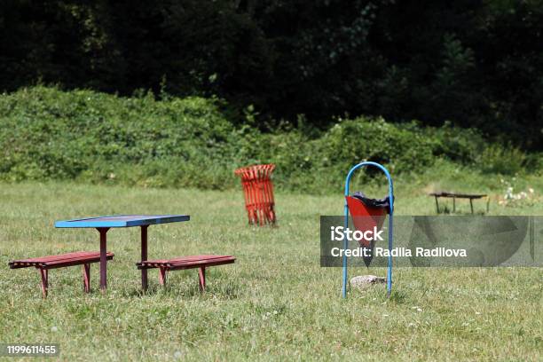 Benches And A Trash Bin In The Grass Outside In Nature Stock Photo - Download Image Now