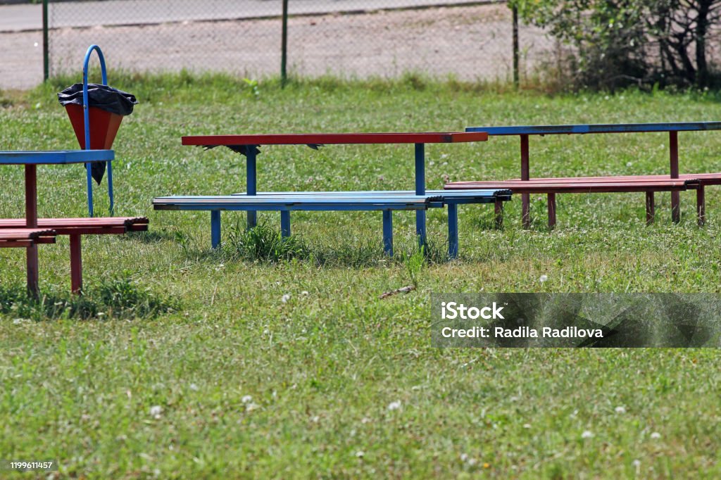 Benches and a trash bin in the grass outside in nature Bench Stock Photo