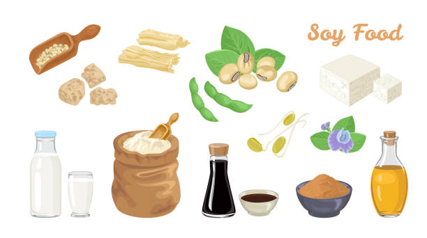 zestaw do jedzenia soji. soja i strąki, tofu, miarka z fasolą, mięso sojowe, mleko w butelce i szkle, sos, pasta miso, olej, worek mąki, skóra tofu, kiełki sojowe i kwiat. wektor kreskówka płaska ilustracja. - tofu skin stock illustrations
