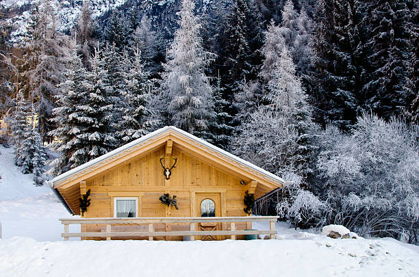 istock Snowy Landscape of Dolomites Mountains during Winter 119961436