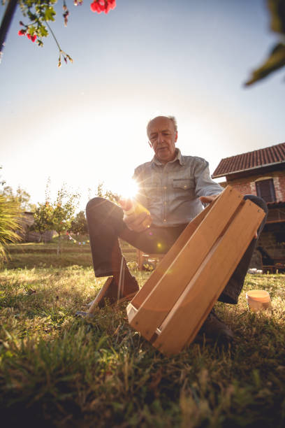 istock Elderly carpenter making a wooden box 1199616461