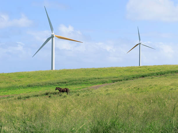 Wind turbines in Hawaii stock photo