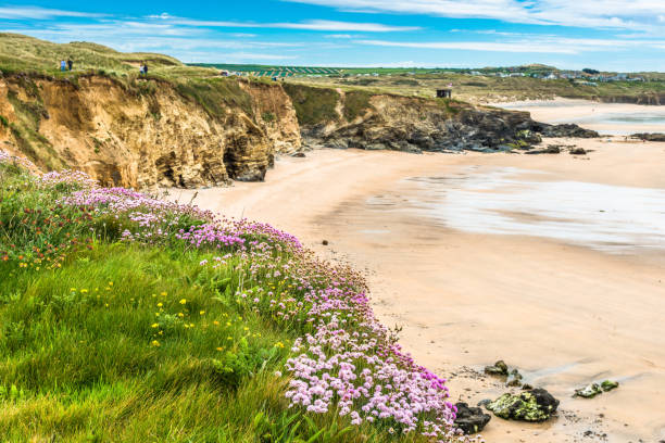 istock Godrevy Head at St. Ives Bay 1199620700