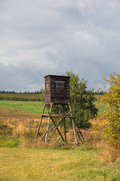 istock Wooden Hunters High Seat, hunting tower 1199620896