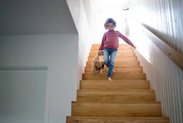 Photo of A cute small girl walking down wooden stairs indoors at home.