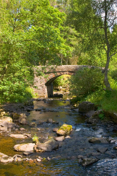 istock waterfall river cascade brecon beacons national park wales 1199621139