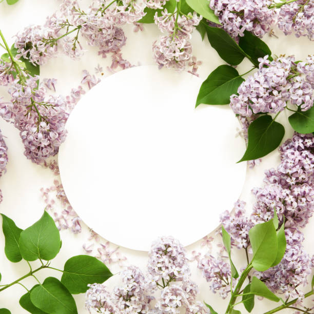 istock Creative layout of lilac flowers with space for text on white paper. Mockup. View from above. - Image 1199621585