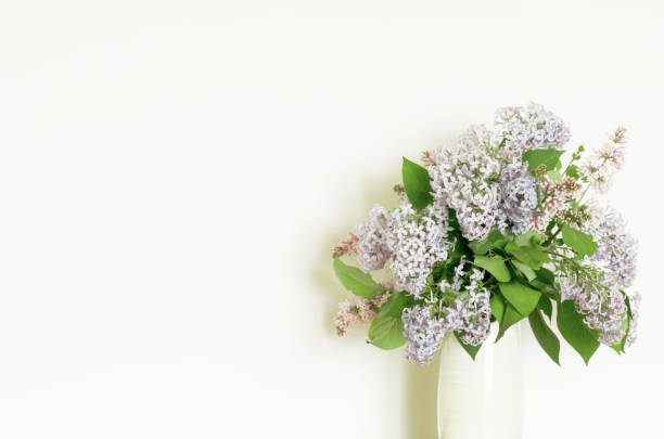 Home decor, lilac flowers in vase on a white wall background. Interior. - Image
