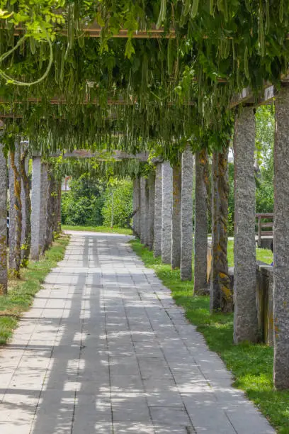 Photo of urban park walk in monforte de lemos, lugo, Spain