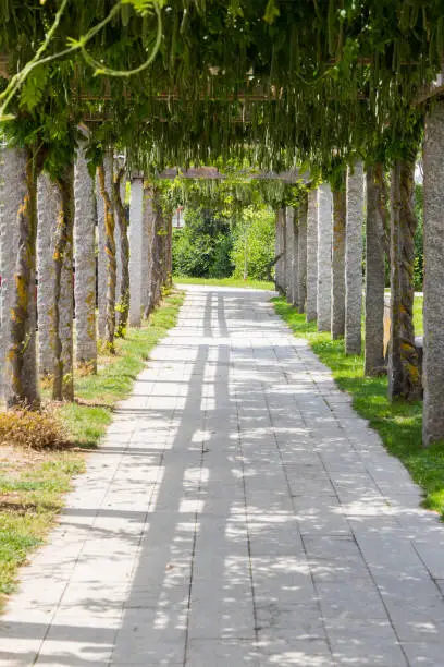 Photo of urban park walk in monforte de lemos, lugo, Spain