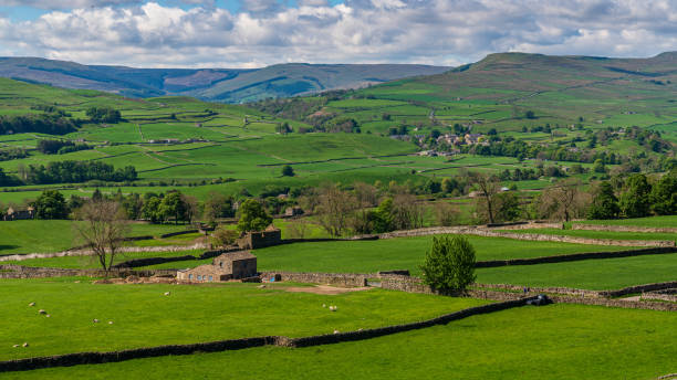 istock Near Askrigg, North Yorkshire, England 1199638254