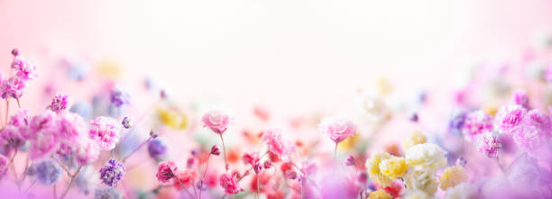 Spring floral composition made of fresh pink flowers on light pastel background