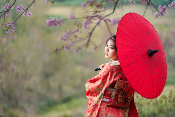 damper Mælkehvid Nuværende Japanese Girl Wearing A Kimono Wearing A Red Umbrella Beautiful Female  Wearing Traditional Japanese Kimono With Cherry Blossom In Spring Japan  Asian Woman Tourists Stock Photo - Download Image Now - iStock