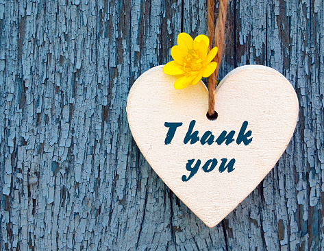 Thank You or thanks greeting card with yellow flower and decorative white heart on blue wooden background.\nInternational Thank You Day concept.Selective focus.