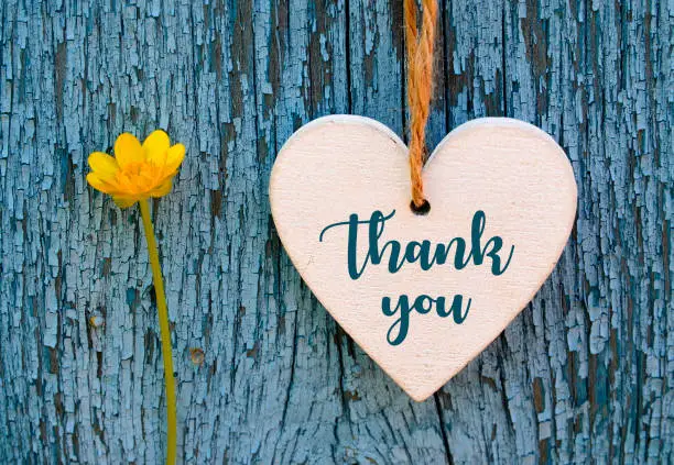 Photo of Thank You or thanks greeting card with yellow flower and decorative white heart on blue wooden background. International Thank You Day concept.