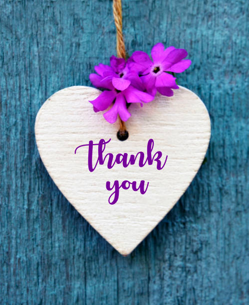 Thank You or thanks greeting card with purple flower and decorative white heart on blue wooden background. International Thank You Day concept. stock photo