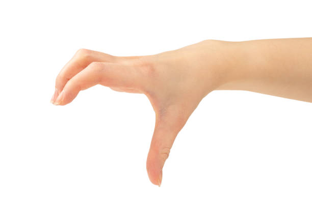istock Hand of woman isolated on white 1199643272