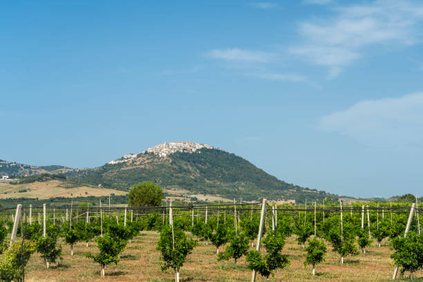istock View of Rotondella, Basilicata, Italy 1199644157