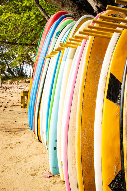 istock Colorful surf boards lined up ready to rent out 1199644298