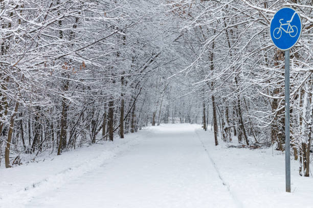 istock winter park alley 1199646179