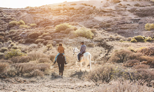 istock Young people riding horses doing excursion at sunset - Wild couple having fun in equestrian tour  - Training, culture, passion, healthy lifestyle, sport concept 1199646328