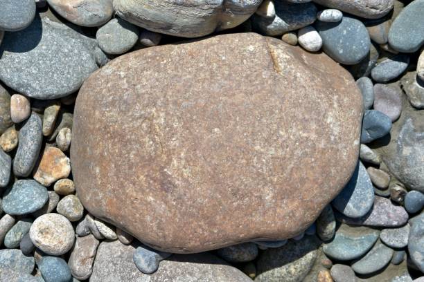 Photo of A large red hued stone centered among the fine grays on the ground.