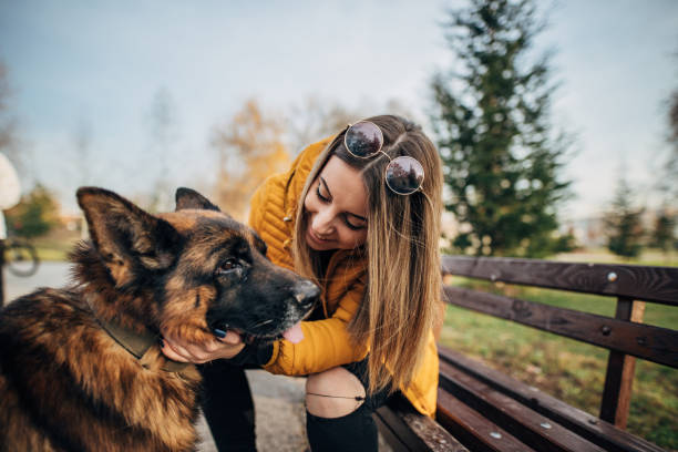 istock Pretty woman sitting on the bench with Shepherd dog 1199648687