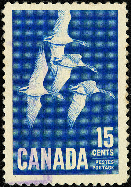 istock Canadian Postage Stamp 119965159