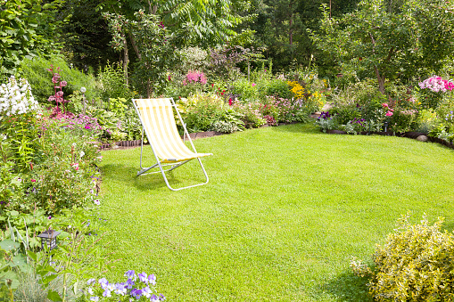 A beautiful flower garden with yellow deck chair on a green lawn in summer