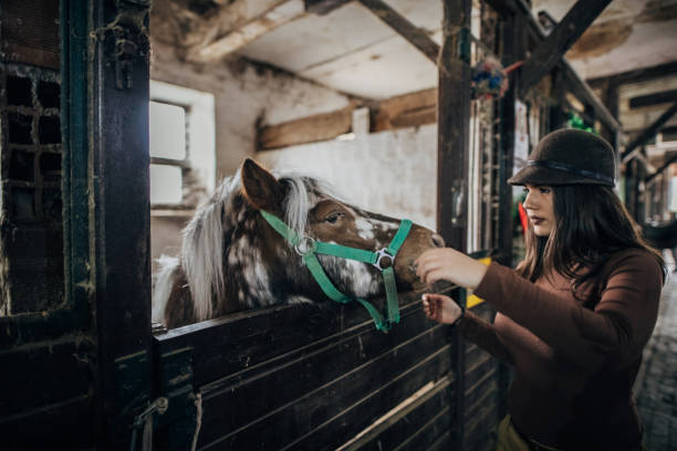 istock Young woman in barn with horse 1199656548