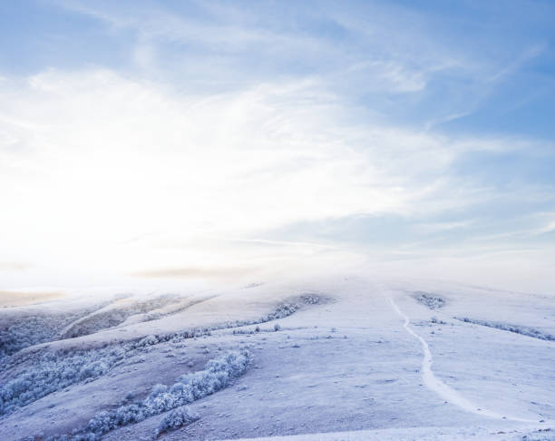 istock winter snowbound plain at the morning 1199659017