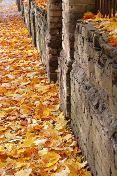 istock Autumn in park of Vilnius 1199660623