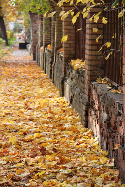 istock Autumn in park of Vilnius 1199660780