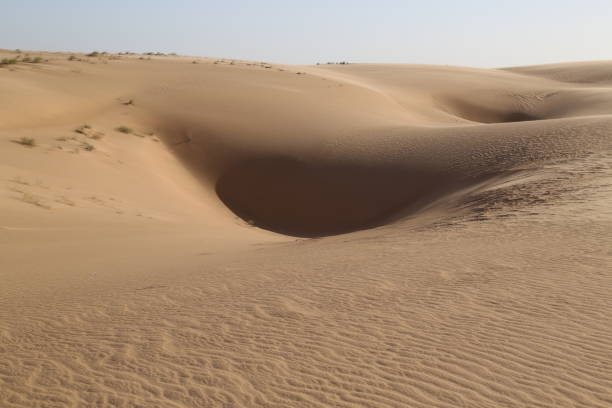 istock Dunes in the Wahiba Desert, Oman 1199663176