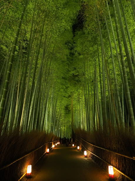 istock Bamboo forest in the night (Kyoto Arashiyama) 1199668735