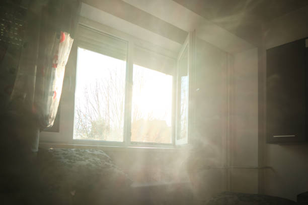 아침 빛에 vape 연기 - wispy smoke steam swirl 뉴스 사진 이미지