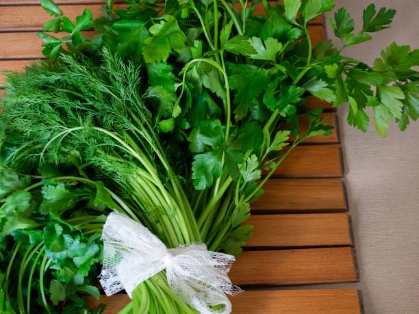 istock Fresh mixed herbs coriander parsley and dill 1199669022