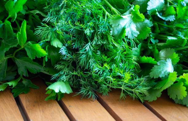 istock Fresh mixed herbs coriander parsley and dill 1199669673
