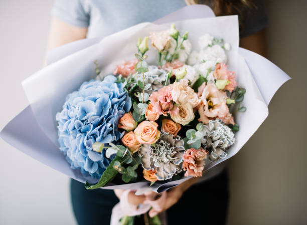 very nice young woman holding beautiful blossoming bouquet of fresh hydrangea, calla lilies, carnations, roses, mattiola, eustoma, eucalyptus flowers in pink and peach colours on the grey background - flower head bouquet built structure carnation imagens e fotografias de stock