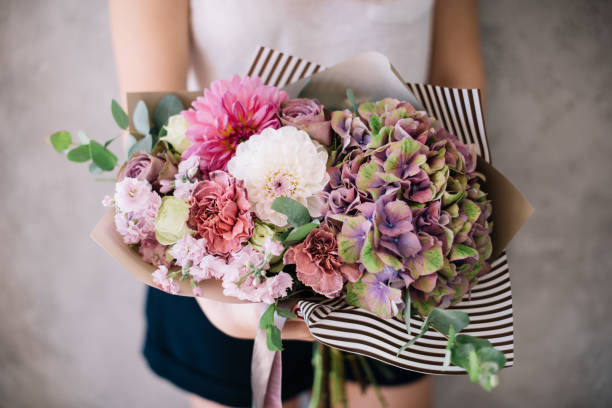 molto bella giovane donna in possesso di bella fioritura bouquet di dalie fresche di stagione, ortensia, mattiola, garofani, fiori di eucalipto in viola, verde e rosa colori sullo sfondo della parete grigia - flower head bouquet built structure carnation foto e immagini stock