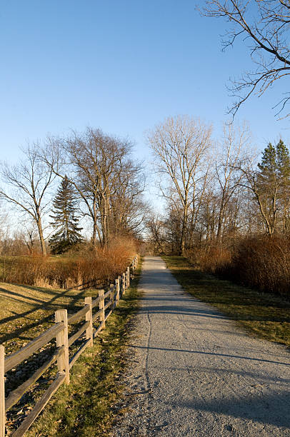 istock Nature Trail in Ohio 119967376