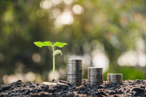 istock Coins and small tree concept put on the soil under green nature background. 1199676257
