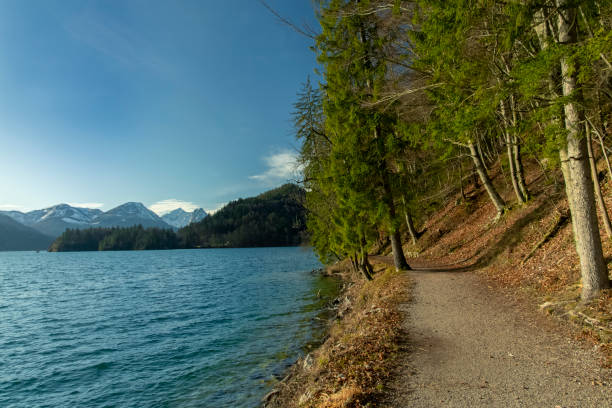 istock adventure, alone, alpine scene, austria, austrian alps, autumn, back, back to camera, beautiful, calm, coat, dock, europe, famous place, female, freedom, girl, hallstatt austria, horizon, human, jetty, lake, landscape, locations, love, mountains, nature, 1199677276