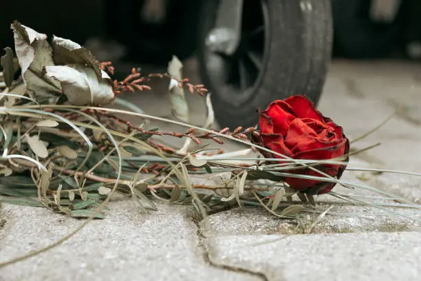 a withered rose on the floor in front of a garbage container