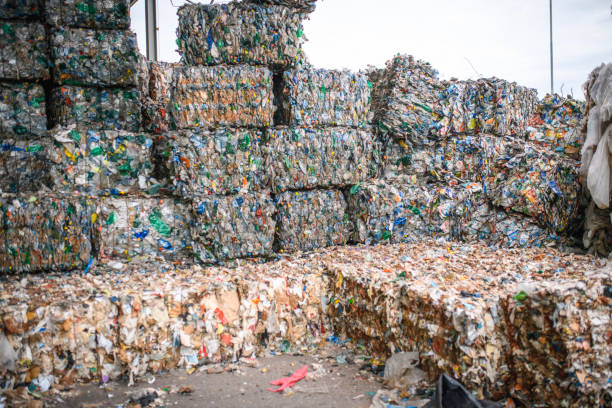 istock Piles and Bales of Recyclable Materials at Facility 1199683683