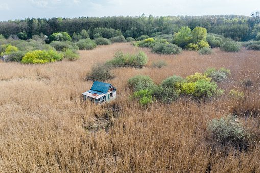 Aerial shot of an abandoned farm house in а yellow reed field.