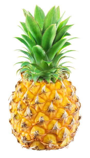 istock Ripe pineapple fruit isolated on white background. 1199688981