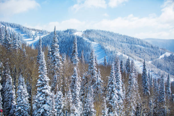 Ski resort landscape scene winter