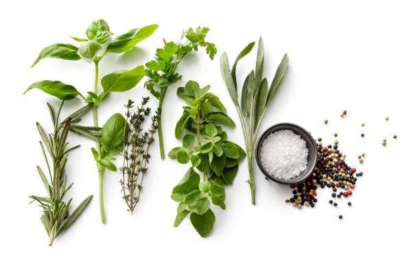 istock Seasoning: Fresh Herbs, Salt and Pepper Isolated on White Background 1199690523