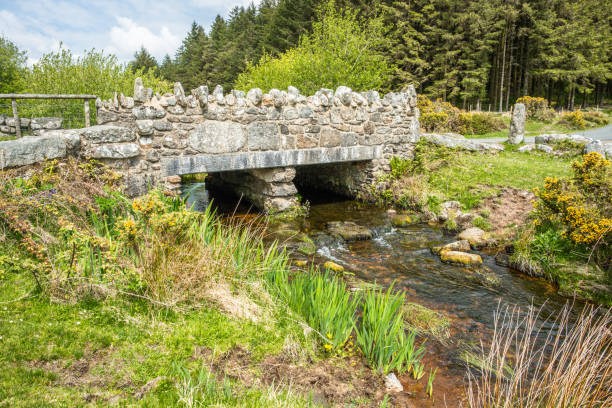 istock Old stone bridge near Postbridge 1199692547